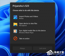 Win11 Beta/Experimental 预览版推送！更新了 AutoPlay 对话框