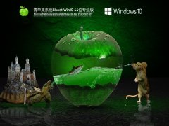 青苹果Windows10 64位专业装机版 V2021.09