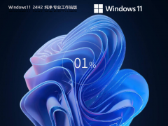 Windows11 24H2 纯净专业工作站版
