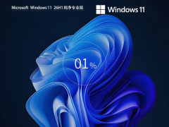 Windows11 26H1 纯净专业版系统